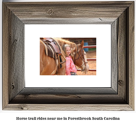 horse trail rides near me in Forestbrook, South Carolina